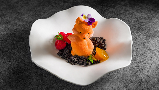 Лисички в Москве. Самый большой гид